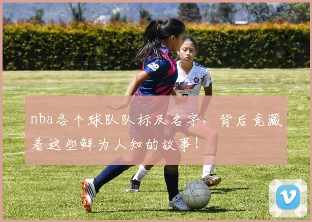 nba各个球队队标及名字，背后竟藏着这些鲜为人知的故事！